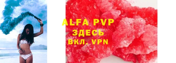 сатива Осташков
