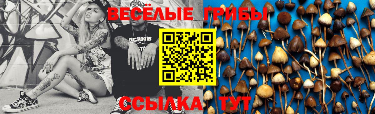 Псилоцибиновые грибы GOLDEN TEACHER  Вход с VPN  Псилоцибиновые грибы MAGIC MUSHROOMS  Кумертау 
